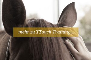 was-ist-ttouch-was-ist-tellington-touch